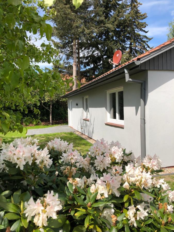 Kleine Auszeit In Salzhausen Villa Luaran gambar